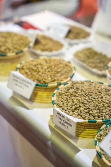 African coffee producers sharing their work with visitors